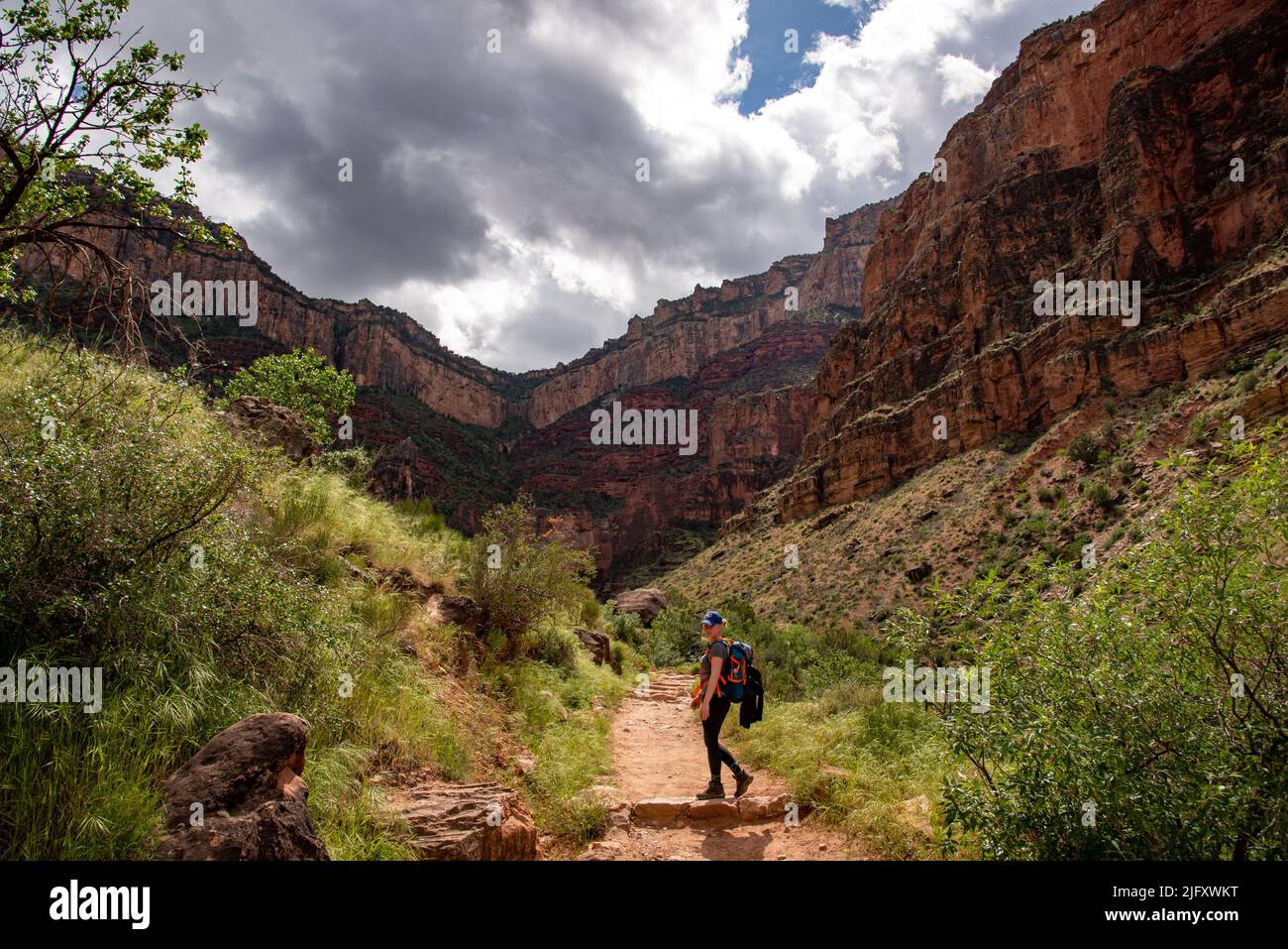 Escursioni nel Parco Nazionale del Grand Canyon con persone/turisti in scala. Foto Stock