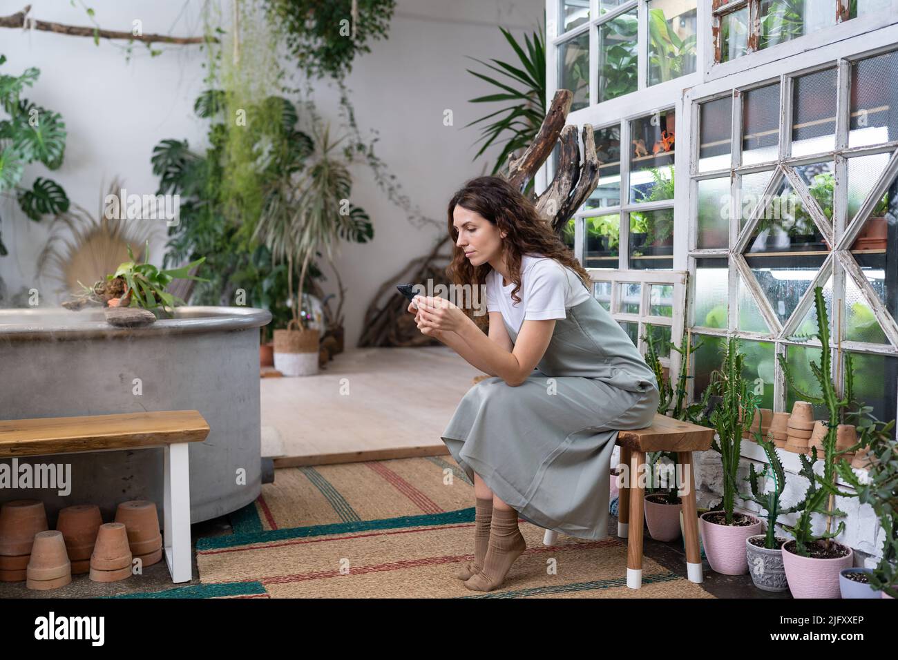 Serio giovane giardiniere donna proprietario tenere smartphone leggere notizie media, seduto in giardino casa Foto Stock
