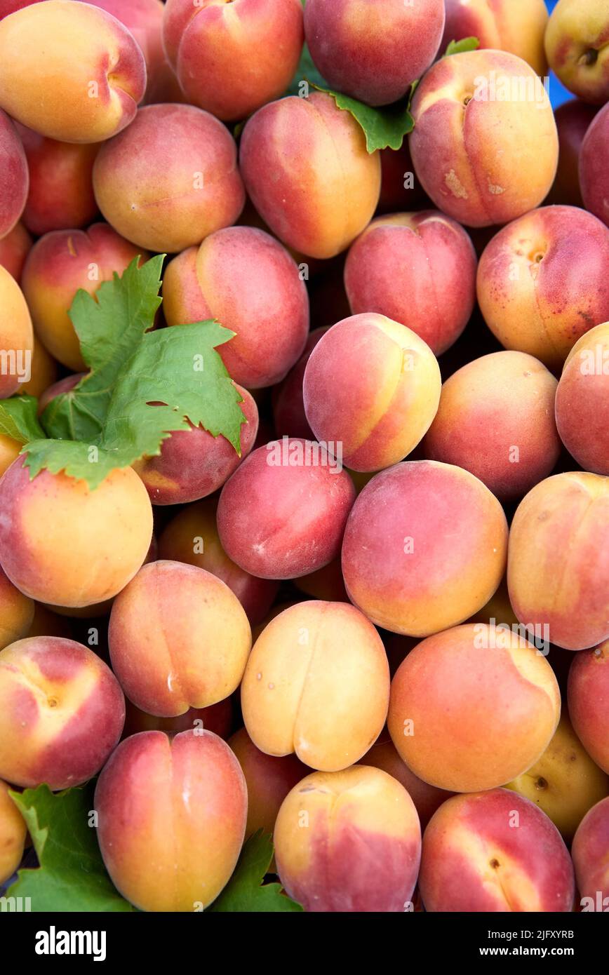 pesche mature fresche come sfondo, vista dall'alto Foto Stock