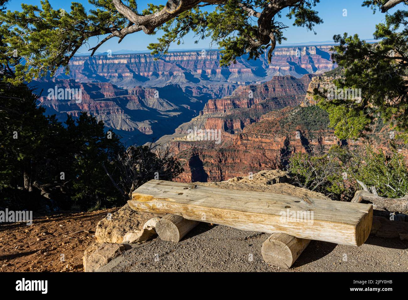 Restful Bench con vista sul Roaring Springs Canyon, Bright Angel Point Trail, North Rim, Grand Canyon National Park, Arizona, USA Foto Stock