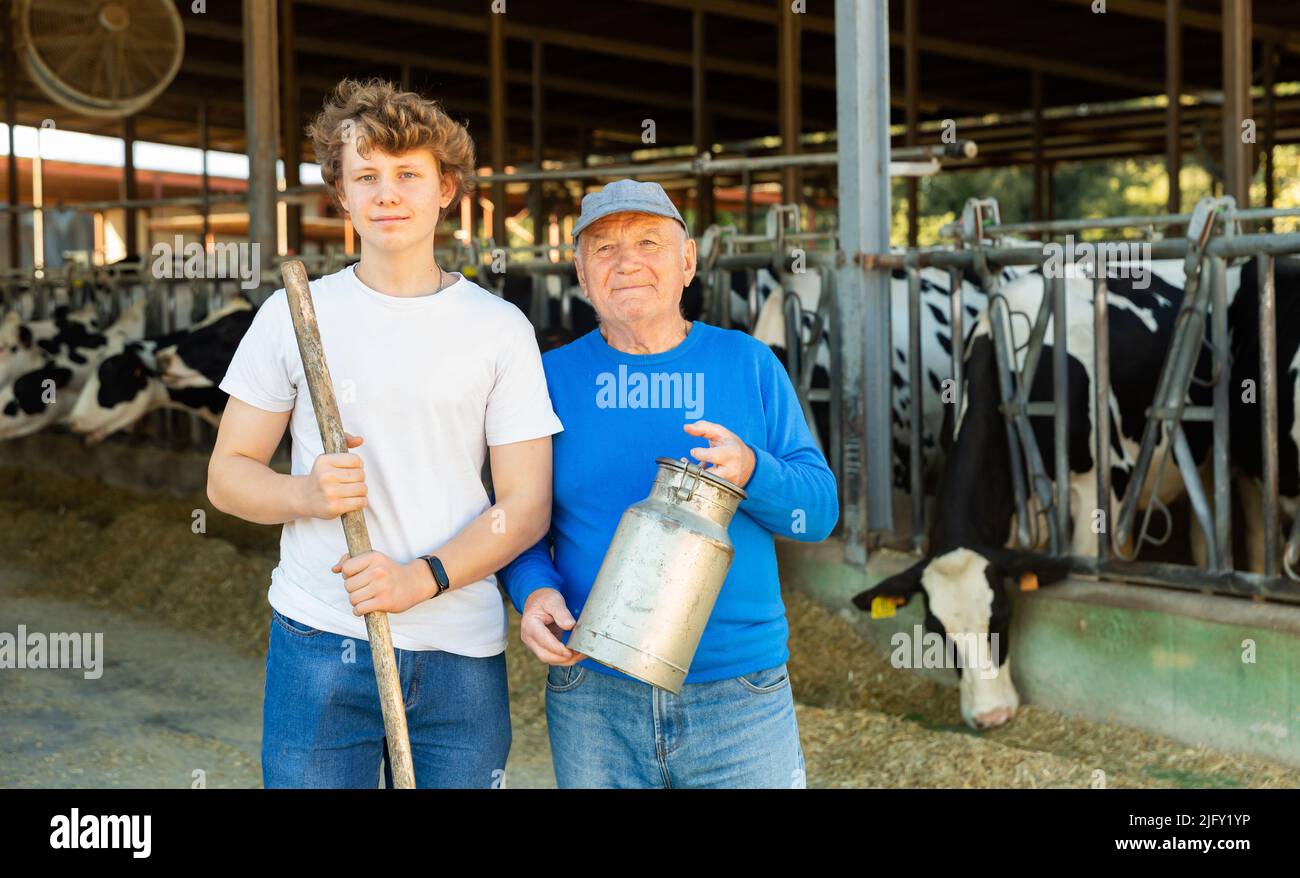 Uomini e giovani agricoltori in cowshed Foto Stock