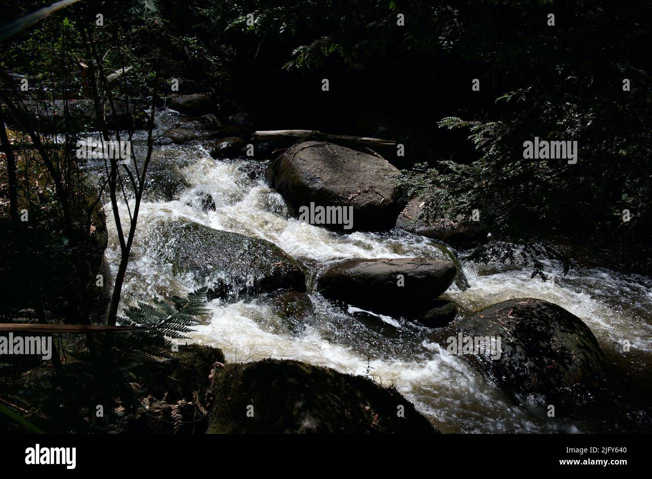 Il fiume Toorongo è un fiume selvaggio di montagna, che attraversa le foreste e le cascate, vicino a Noojee a Gippsland, Victoria, Australia. Foto Stock