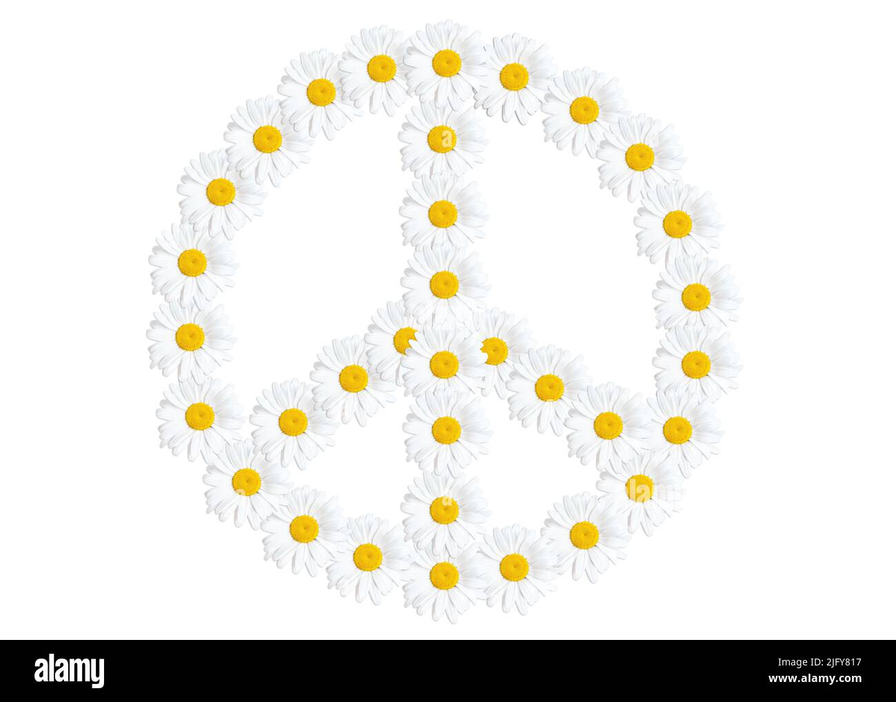 Cartello di pace disposto da fiori margherita isolato su sfondo bianco. Foto Stock