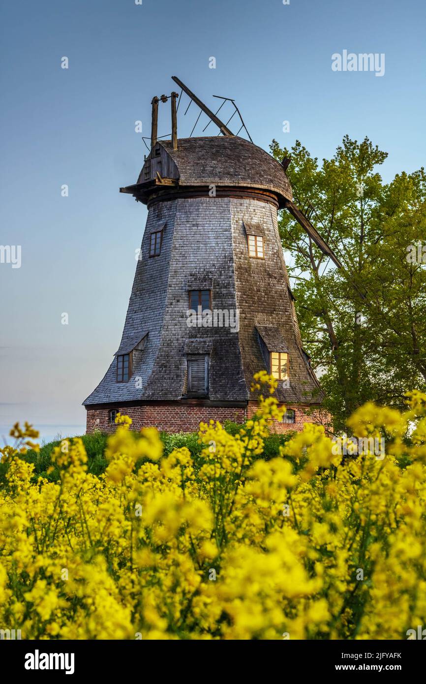 vecchio mulino a vento sul campo palczewo Foto Stock