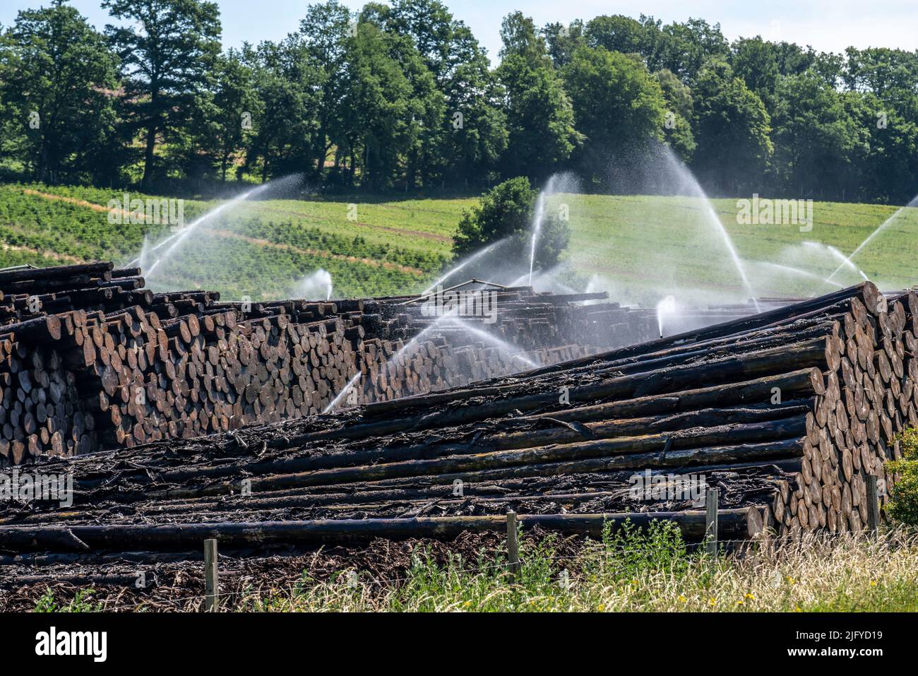 Deposito di legno bagnato di una segheria, legname che è immagazzinato per un periodo più lungo di tempo è spruzzato con acqua così che i ceppi impregnano su acqua e così tengono Foto Stock