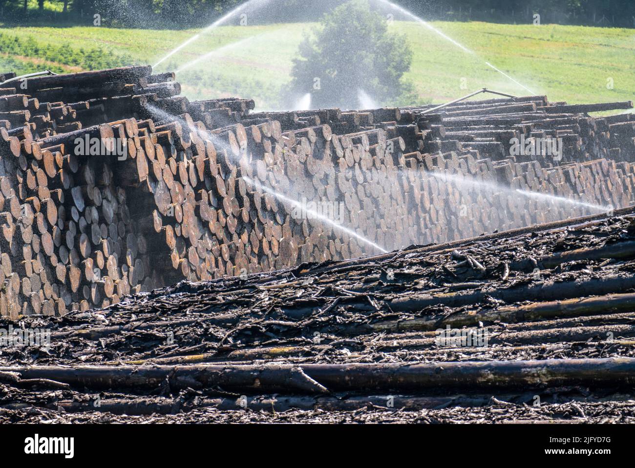 Deposito di legno bagnato di una segheria, legname che è immagazzinato per un periodo più lungo di tempo è spruzzato con acqua così che i ceppi impregnano su acqua e così tengono Foto Stock