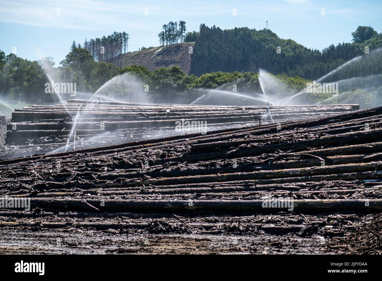 Deposito di legno bagnato di una segheria, legname che è immagazzinato per un periodo più lungo di tempo è spruzzato con acqua così che i ceppi impregnano su acqua e così tengono Foto Stock