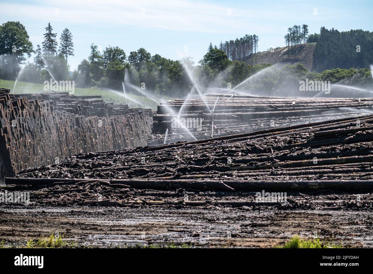 Deposito di legno bagnato di una segheria, legname che è immagazzinato per un periodo più lungo di tempo è spruzzato con acqua così che i ceppi impregnano su acqua e così tengono Foto Stock