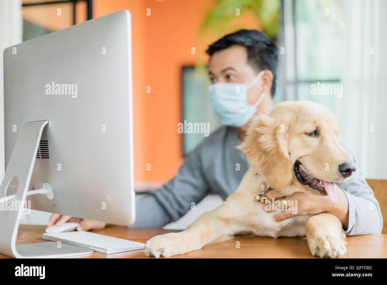 Uomo asiatico indossare maschera preventiva e di lavoro da casa e prendersi cura del suo cane in situazione di malattia di Corona Virus (COVID-19). Lavora da casa e guarisci Foto Stock