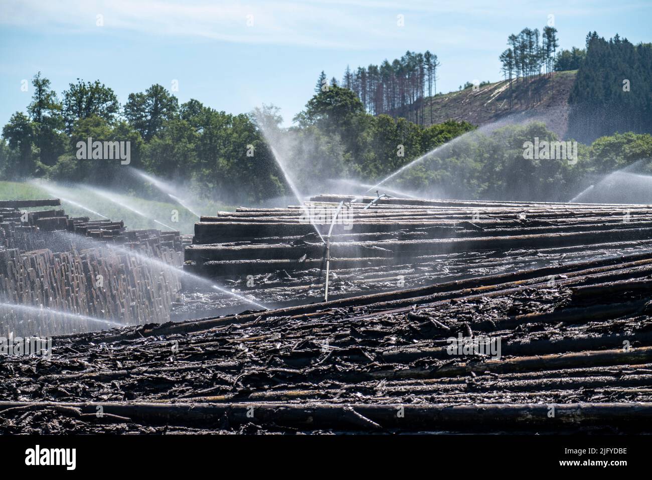 Deposito di legno bagnato di una segheria, legname che è immagazzinato per un periodo più lungo di tempo è spruzzato con acqua così che i ceppi impregnano su acqua e così tengono Foto Stock
