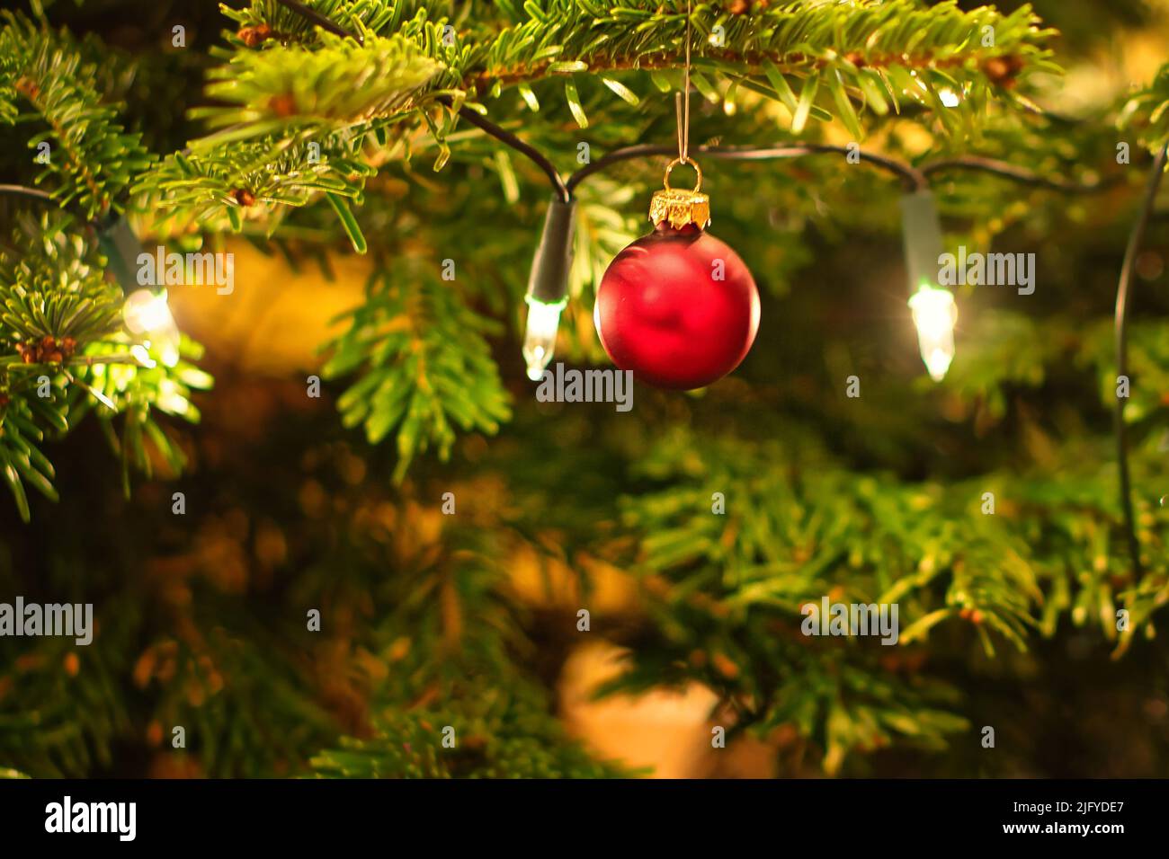 Natale. Decorazione di Natale. Sfera di natale rossa appesa sull'albero di natale. Festa cristiana. Foto dalla vita Foto Stock