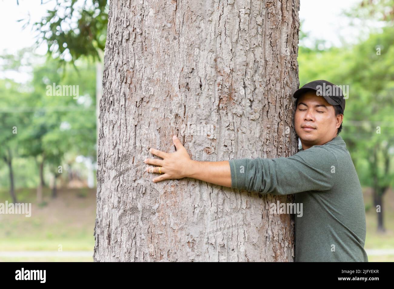 Albero abbracciante. Uomo asiatico che dà un abbraccio su grande albero di mango. Prendersi cura della terra, albero d'Amore e natura o concetto di ambiente Foto Stock