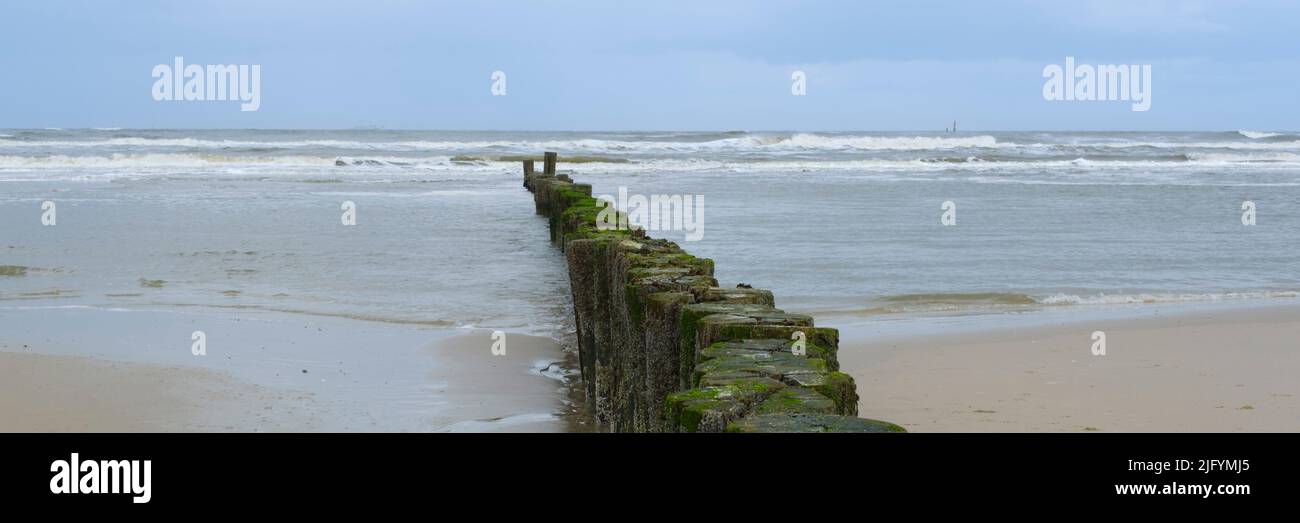 Un braker a onda sulla costa settentrionale dell'isola di Wangerooge Foto Stock