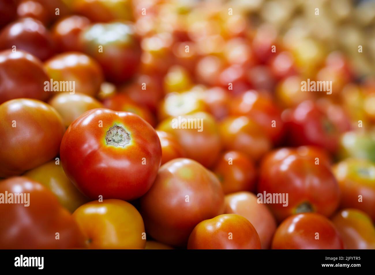 Focalizzazione selettiva sul pomodoro rosso. Vendita di ortaggi freschi crudi in stalla di mercato. Foto Stock