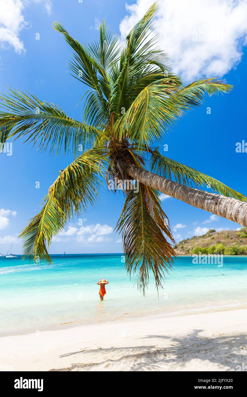 Donna con cappello di paglia che guarda la spiaggia di palme in piedi nelle acque turchesi del Mar dei Caraibi, Antigua, Indie Occidentali, Caraibi Foto Stock