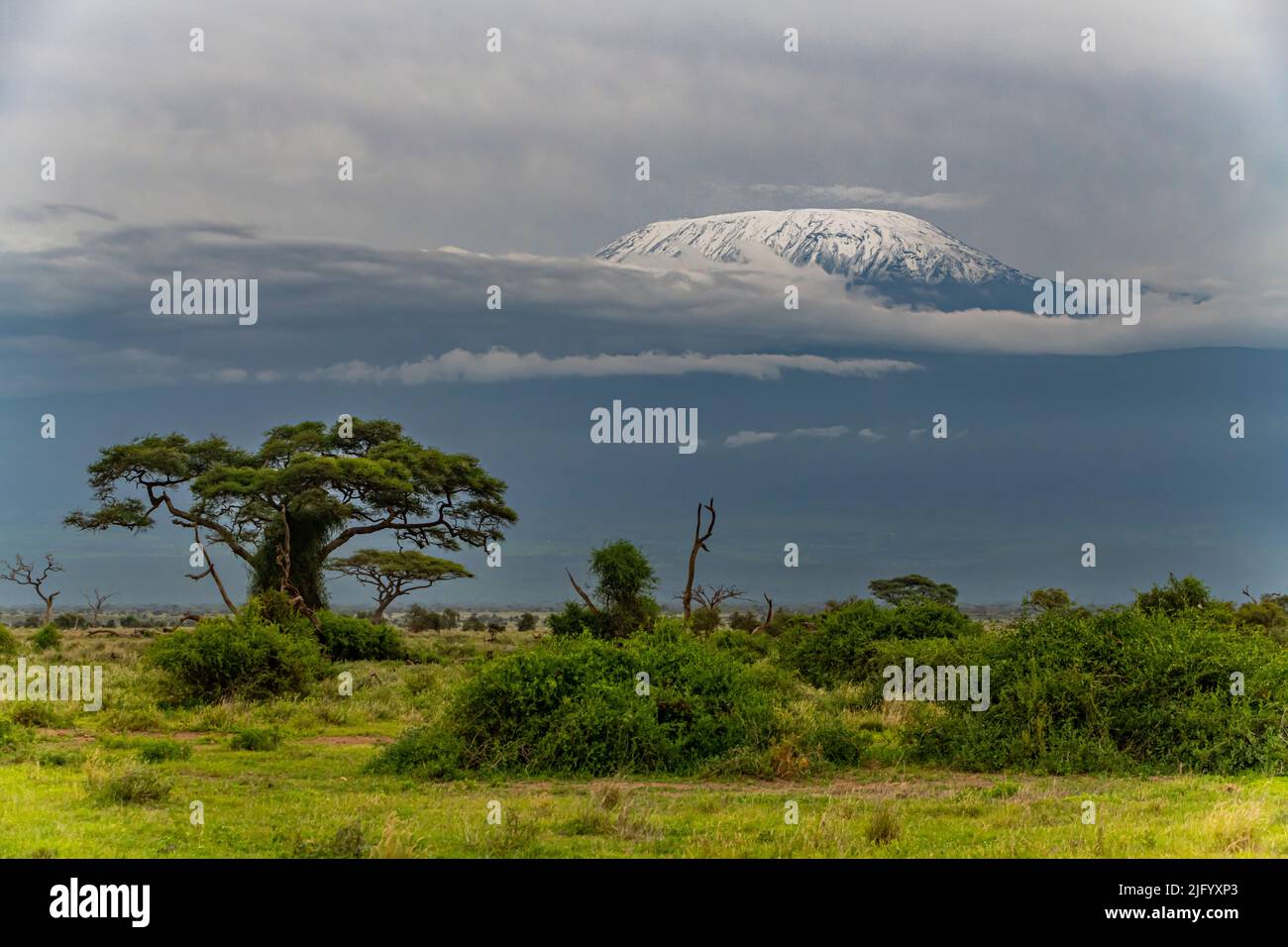 Monte Kilimanjaro, Parco Nazionale Amboseli, Kenya, Africa Orientale, Africa Foto Stock