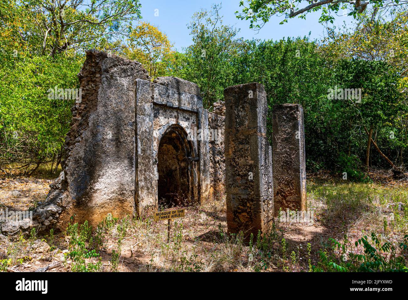 Rovine di insediamenti costieri swahili medievali di Gedi, Kilifi, Kenya, Africa orientale, Africa Foto Stock