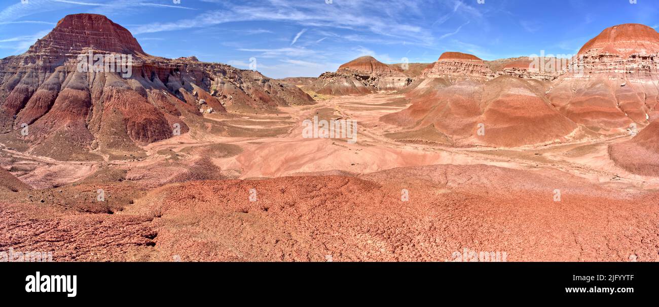 Il pavimento della valle della Foresta Rossa al Parco Nazionale della Foresta pietrificata, Arizona, Stati Uniti d'America, Nord America Foto Stock