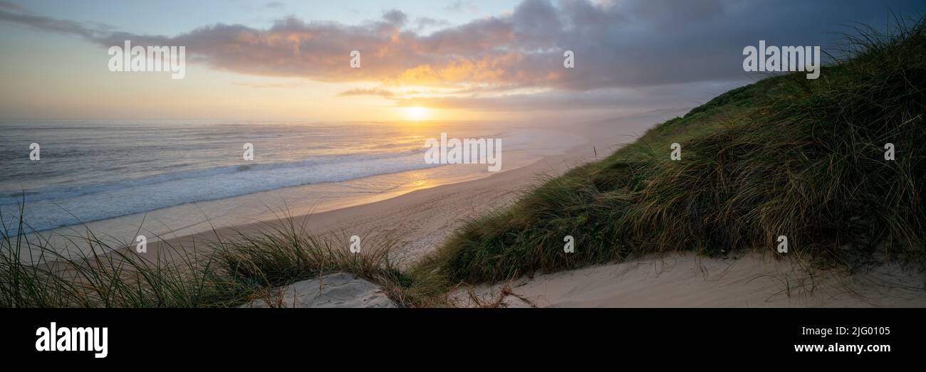 Spiaggia di Sardinia Bay, Capo Orientale, Sudafrica, Africa Foto Stock