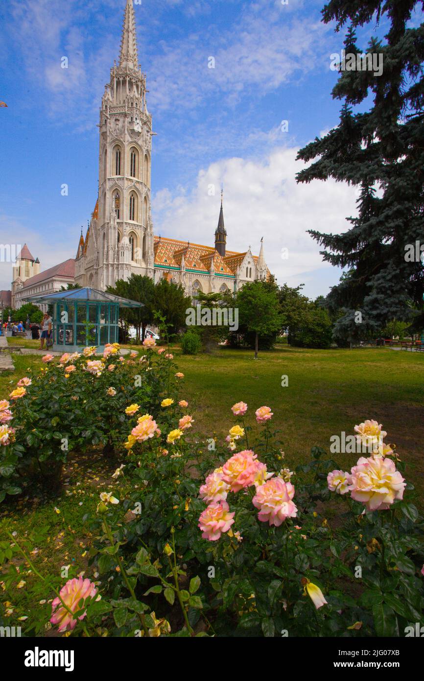 Ungheria, Budapest, Chiesa di Mattia, Templom di Mátyás, Foto Stock
