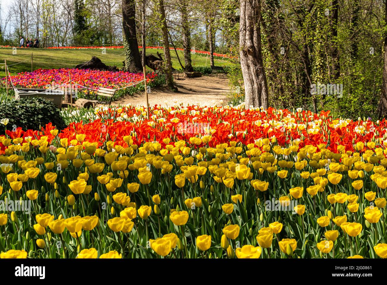 Il bellissimo giardino del Castello di Pralormo in primavera pieno di tulipani colorati, Piemonte, Italia Foto Stock