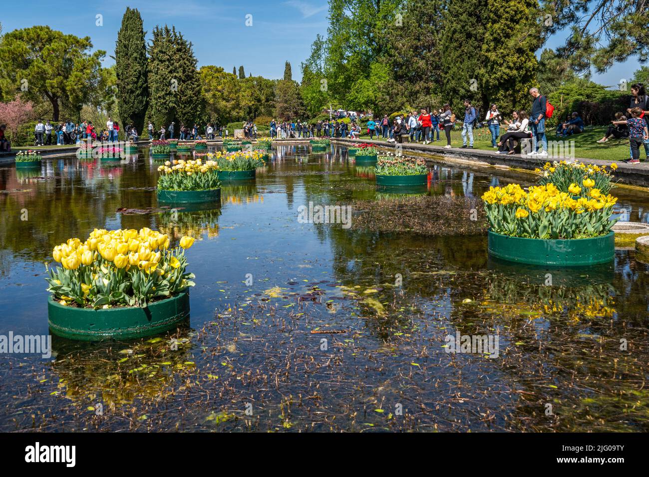 Valleggio sul Mincio, 2022 aprile - il suggestivo giardino d'acqua con tulipani galleggianti al Parco Sigurà Foto Stock