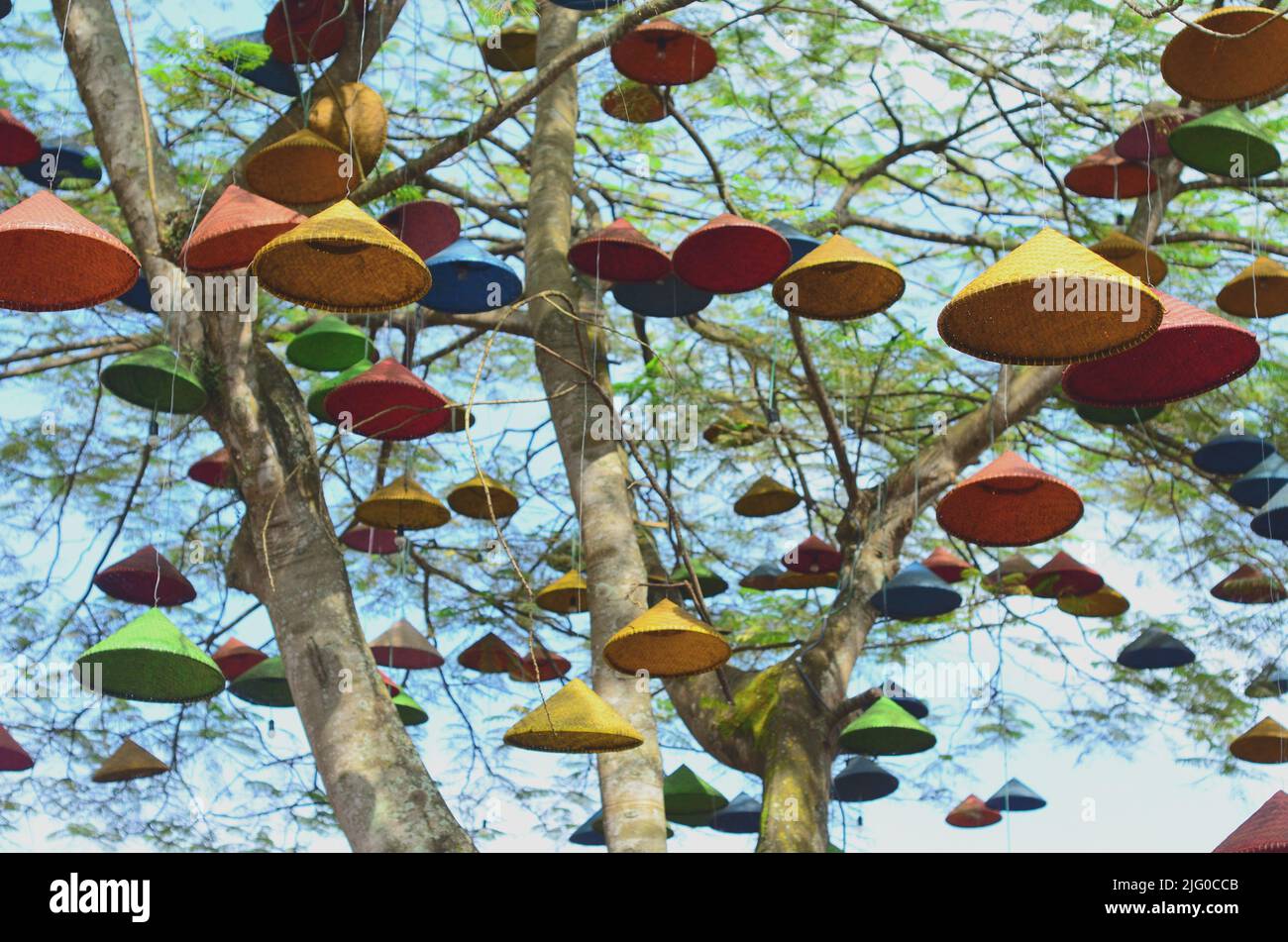 Un primo piano di colorati cappelli vietnamiti appesi su un albero nel  parco Foto stock - Alamy