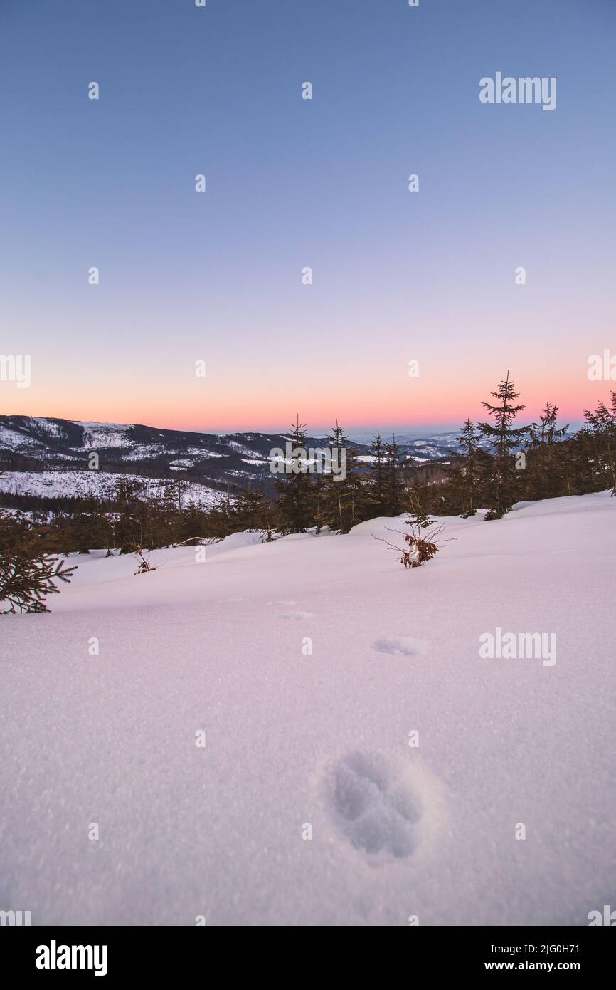 Favolosa alba sulla Barania Gora, sulle montagne polacche di Beskydy che si affacciano sulla valle che sta prendendo vita. Una mattina gelata e vinosa. tr. Animale Foto Stock