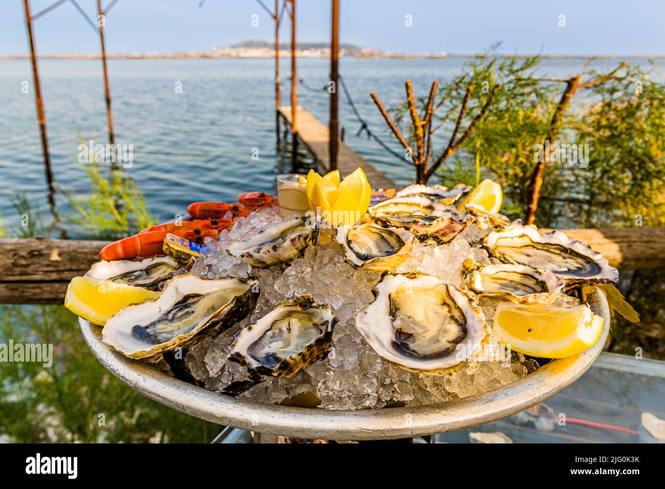 Un vassoio di ostriche e gamberetti è posato sul ghiaccio al chiosco balneare Le St Pierre Tarbouriech a Loupian, Hérault, Francia. Dall'altra parte della laguna dell'Étang de Thau si trova la città di Sète. Foto Stock