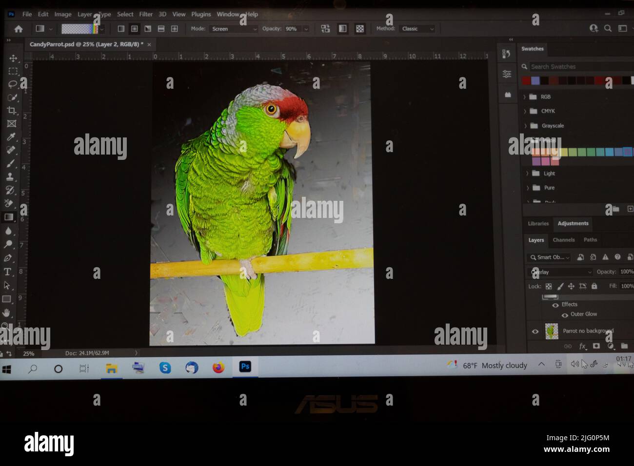 Screenshot su pappagallo in Abode Photoshop Foto Stock