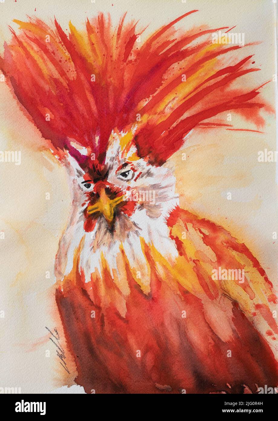 Divertente e colorato testa di pollo un'opera d'arte acrilica Foto Stock Divertente e colorato testa di pollo un'opera d'arte acrilica Foto Stock