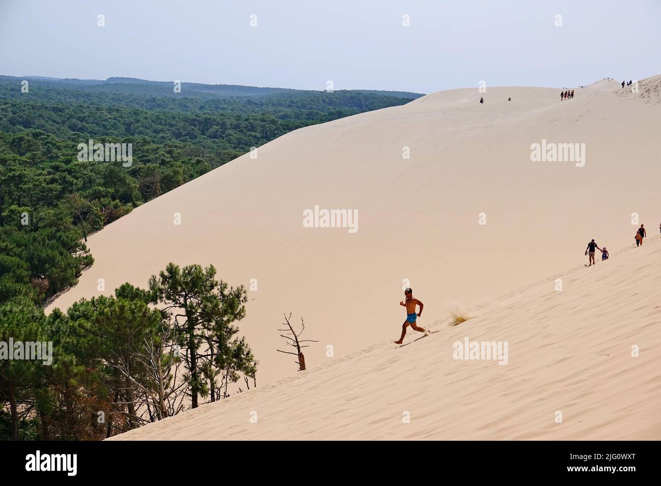 Dune du Pyla - la più grande duna di sabbia in Europa, Aquitania, Francia - Agosto 2018 Foto Stock