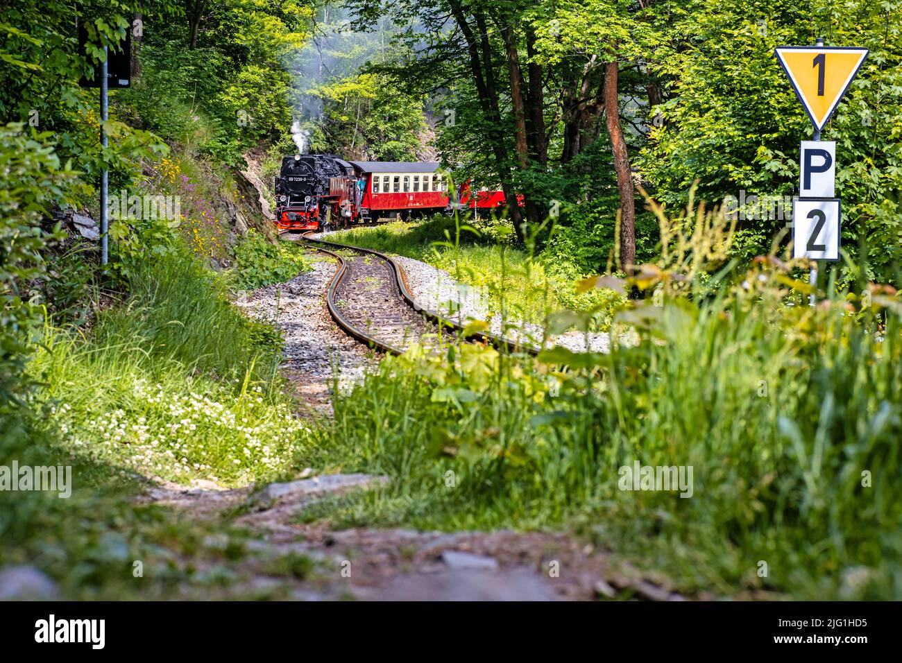 Selketalbahn im Harz Foto Stock