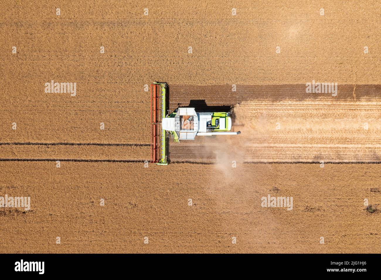 Vista aerea dall'alto verso il basso della mietitrebbia che lavora su campi di grano. Attività agricola, paesaggio agricolo ungherese, crisi alimentare. Foto Stock