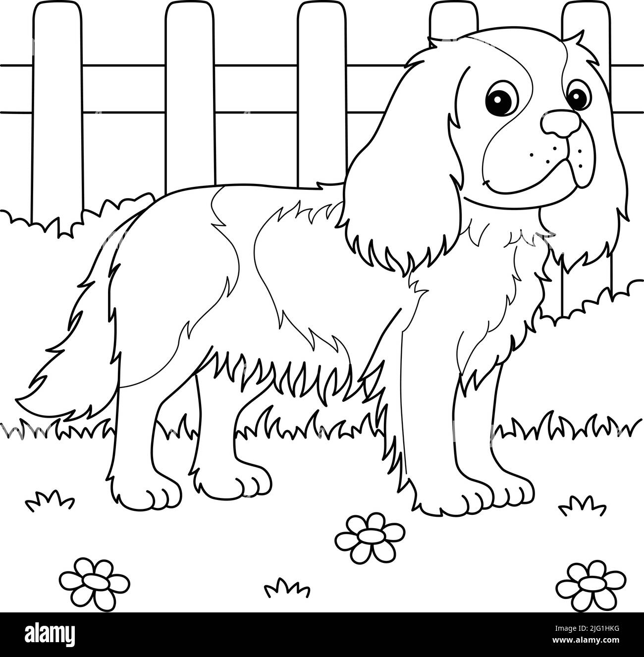 Cavalier King Charles Spaniel Dog colorazione Illustrazione Vettoriale