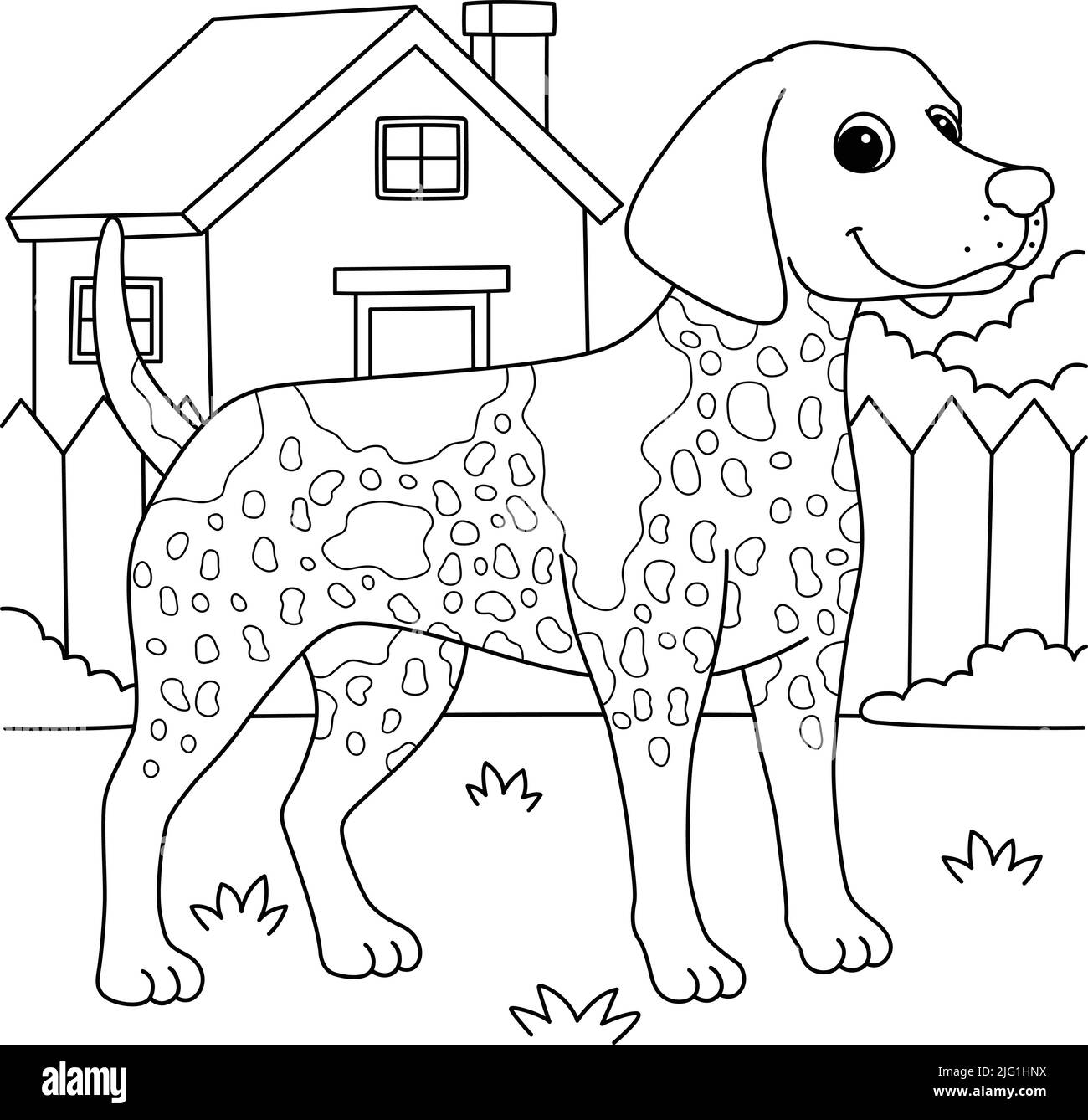 Tedesco Shorthair Pointer Dog coloring Illustrazione Vettoriale