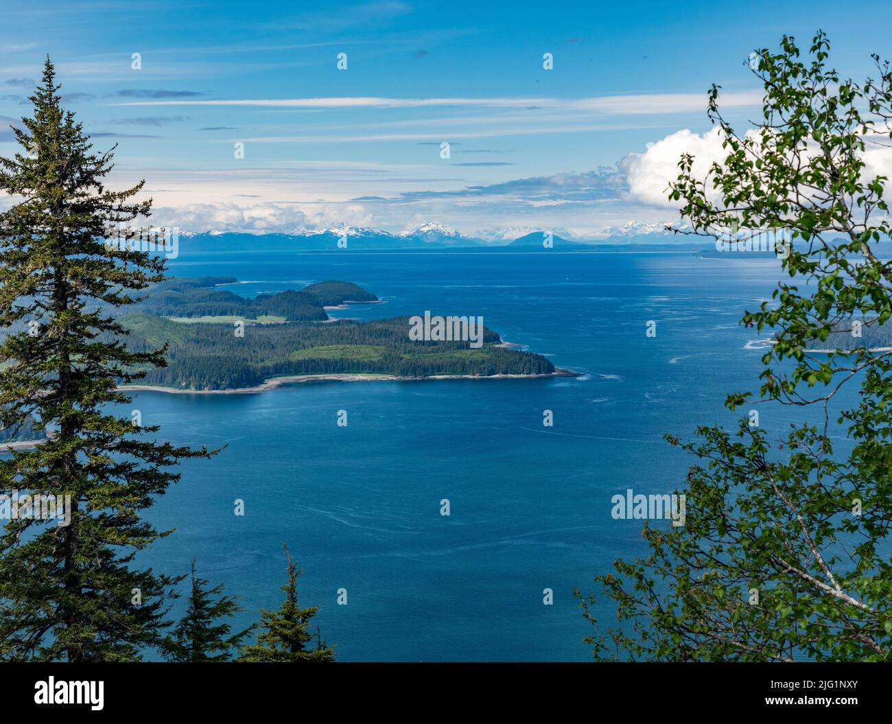 Ammira gli alberi della baia e delle montagne a Icy Strait Point vicino a Hoonah in Alaska Foto Stock