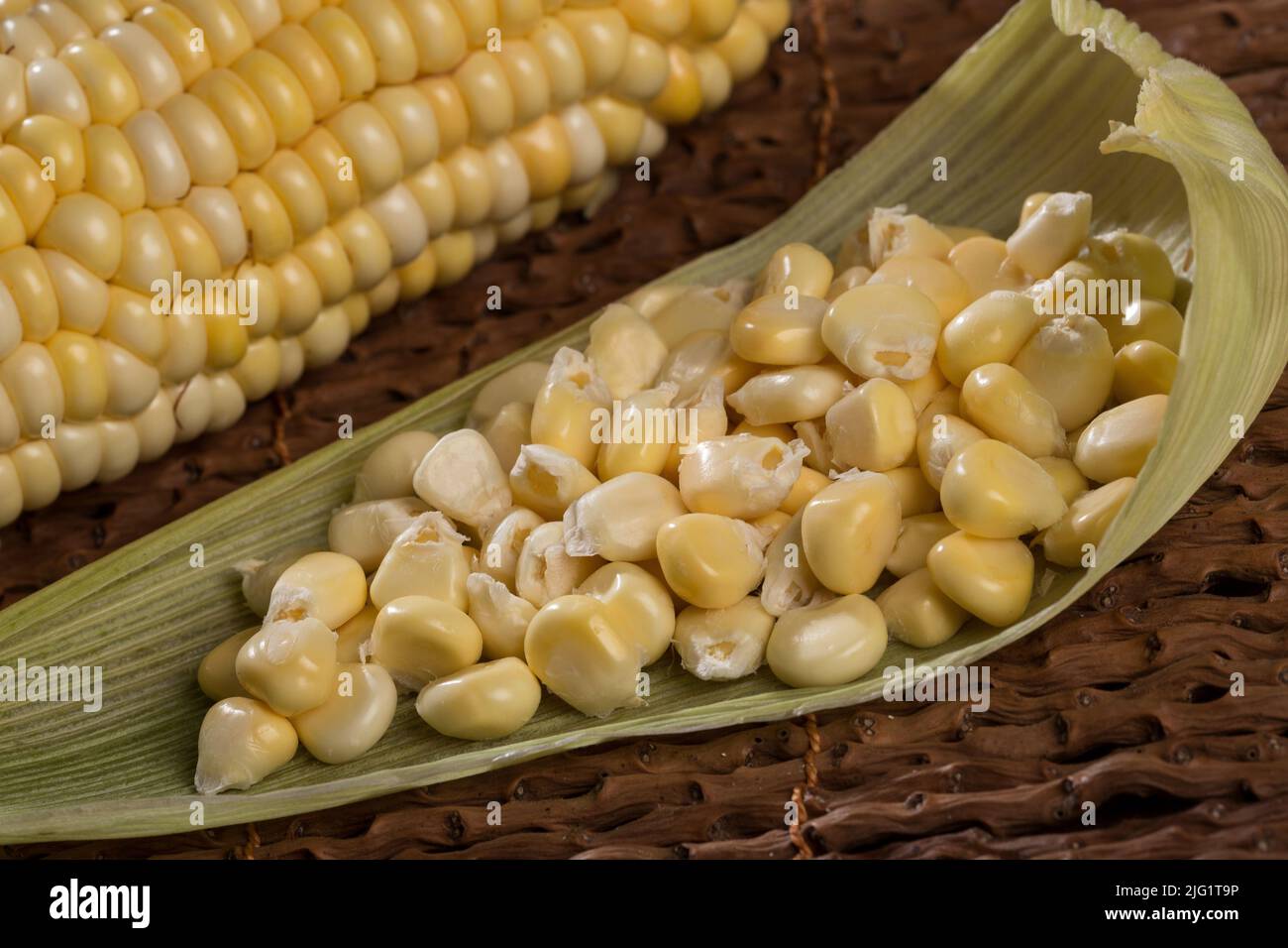 Zea mays - pannocchie e chicchi di mais freschi. Foto Stock