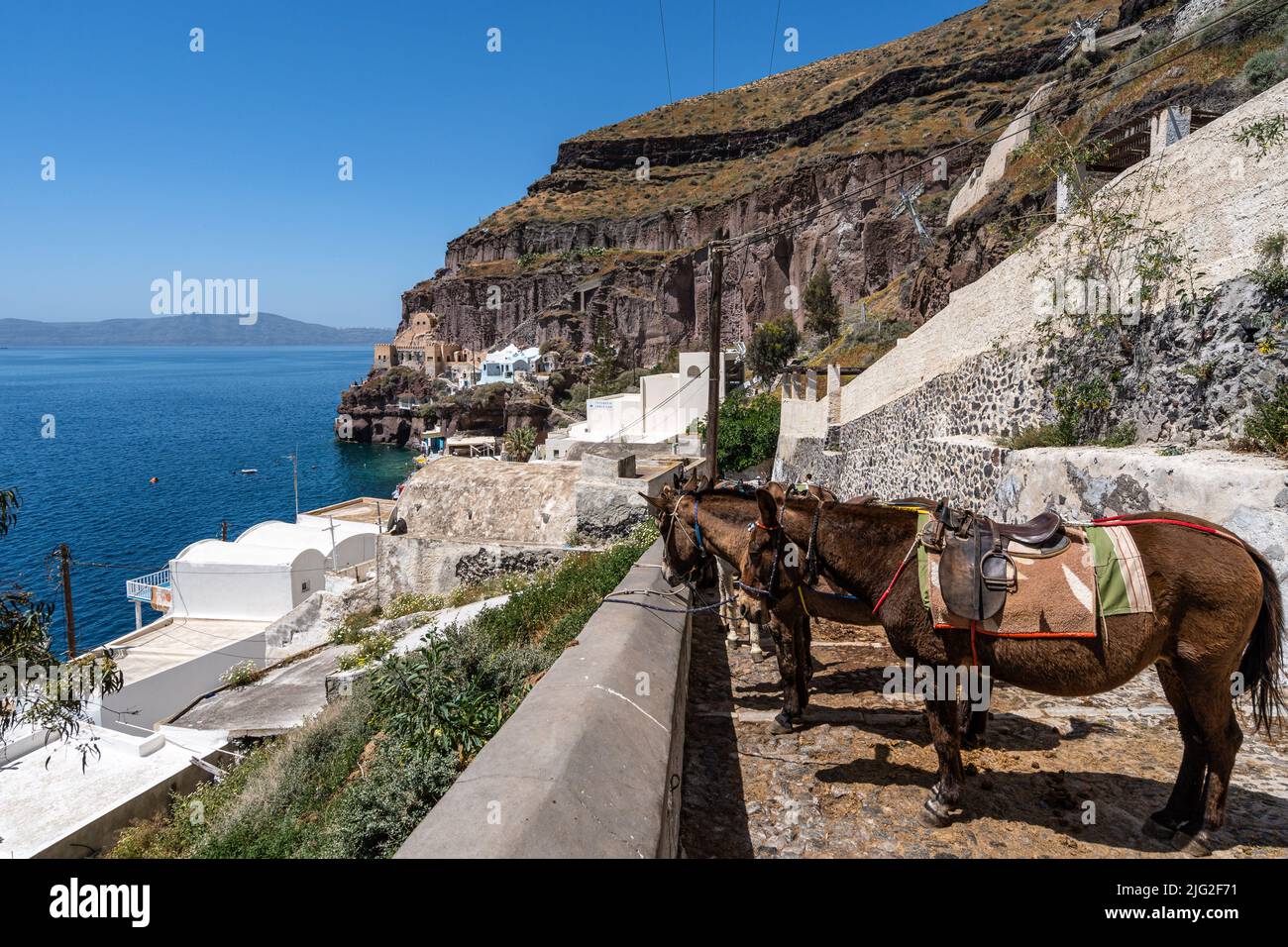 Asini in attesa di turisti a Santorini Island, Grecia. I taxi d'asino sono un'attrazione turistica tipica dell'isola. Foto Stock