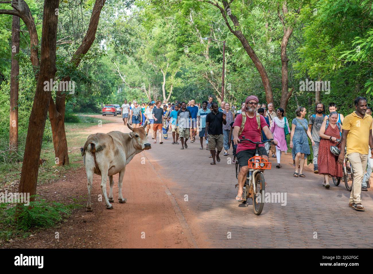 Auroville, India - 2nd luglio 2022: 500 euroviliani camminati verso l'albero di Banyan in risposta alla minaccia Auroville è attualmente di fronte e per sostenere il Foto Stock