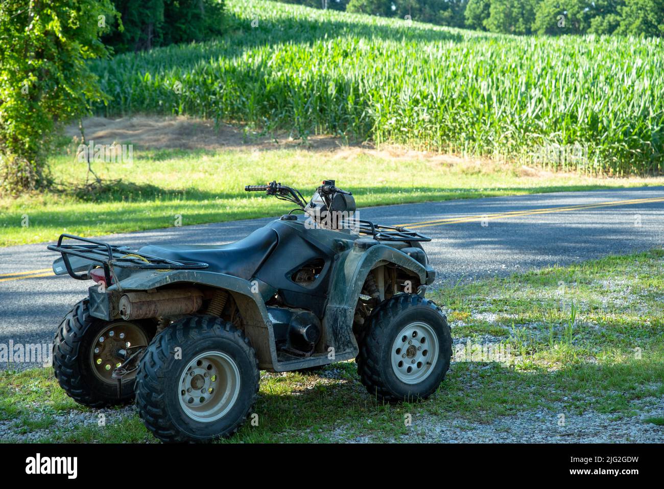 Veicolo agricolo fuoristrada verde in primo piano con campo di mais agricolo soleggiato Foto Stock