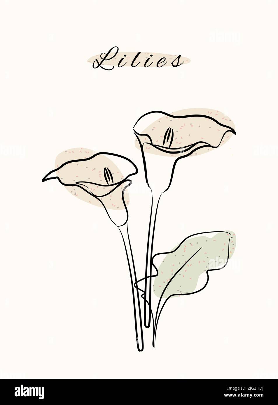 Gigli botanica natura floreale linea arte disegnata a mano con grunge astratto forme organiche. Illustrazione Vettoriale