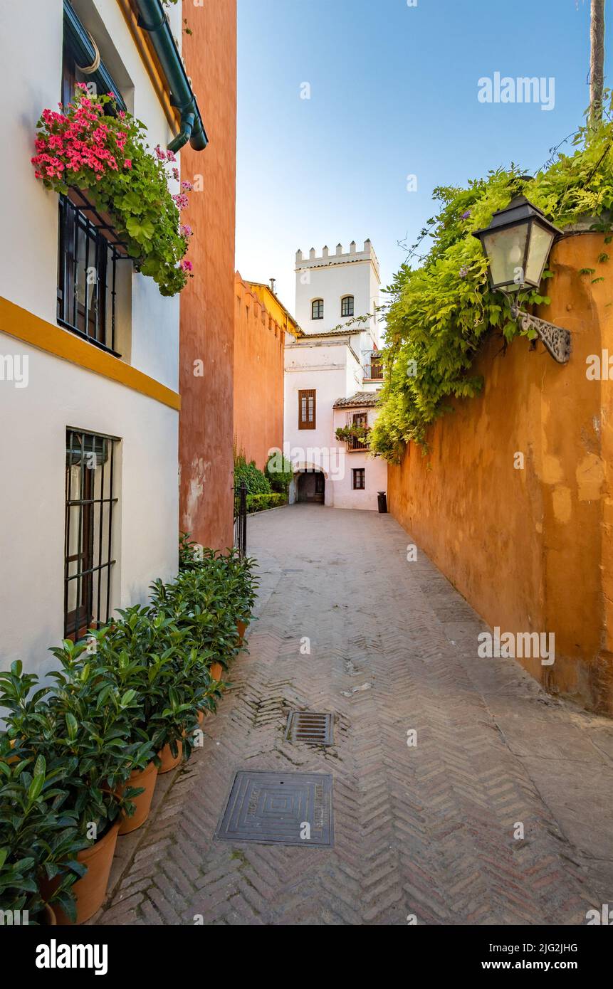 Callejón del Agua, nel quartiere sivigliano di Santa Cruz, Siviglia, Andalusia, Spagna Foto Stock