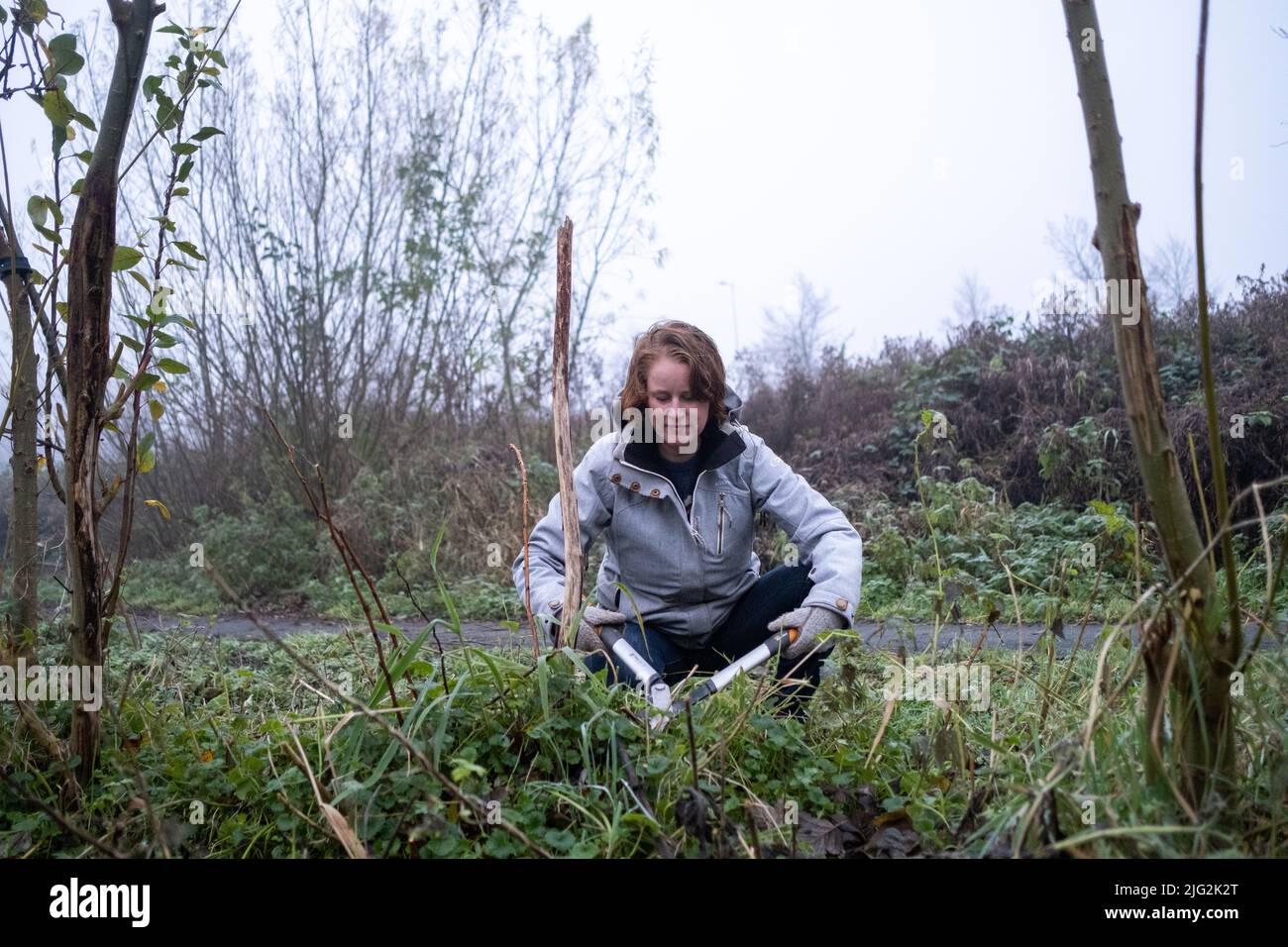 Paesi Bassi, Amsterdam, 2020-12-09. Relazione sui giardini condivisi e l'agricoltura urbana ad Amsterdam. Qui, Anna Tuin & Ruigte che è un permacultu Foto Stock