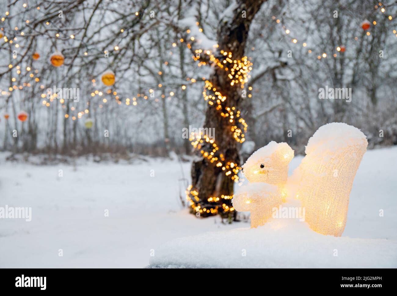 Figurina di scoiattolo artificiale acrilico illuminata come decorazione di Natale all'aperto nel giardino di casa, luci partito a LED avvolto intorno all'albero di mela. Foto Stock