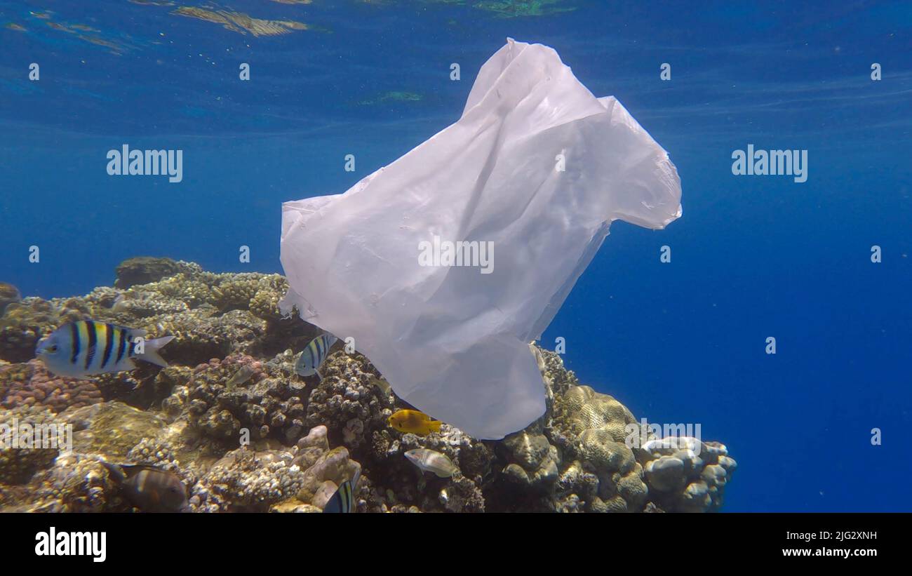 L'inquinamento plastico dell'Oceano, un sacchetto di plastica wtite scartato sulla barriera corallina tropicale, sullo sfondo blu dell'acqua nuota la scuola di pesci tropicali. Annulla Foto Stock