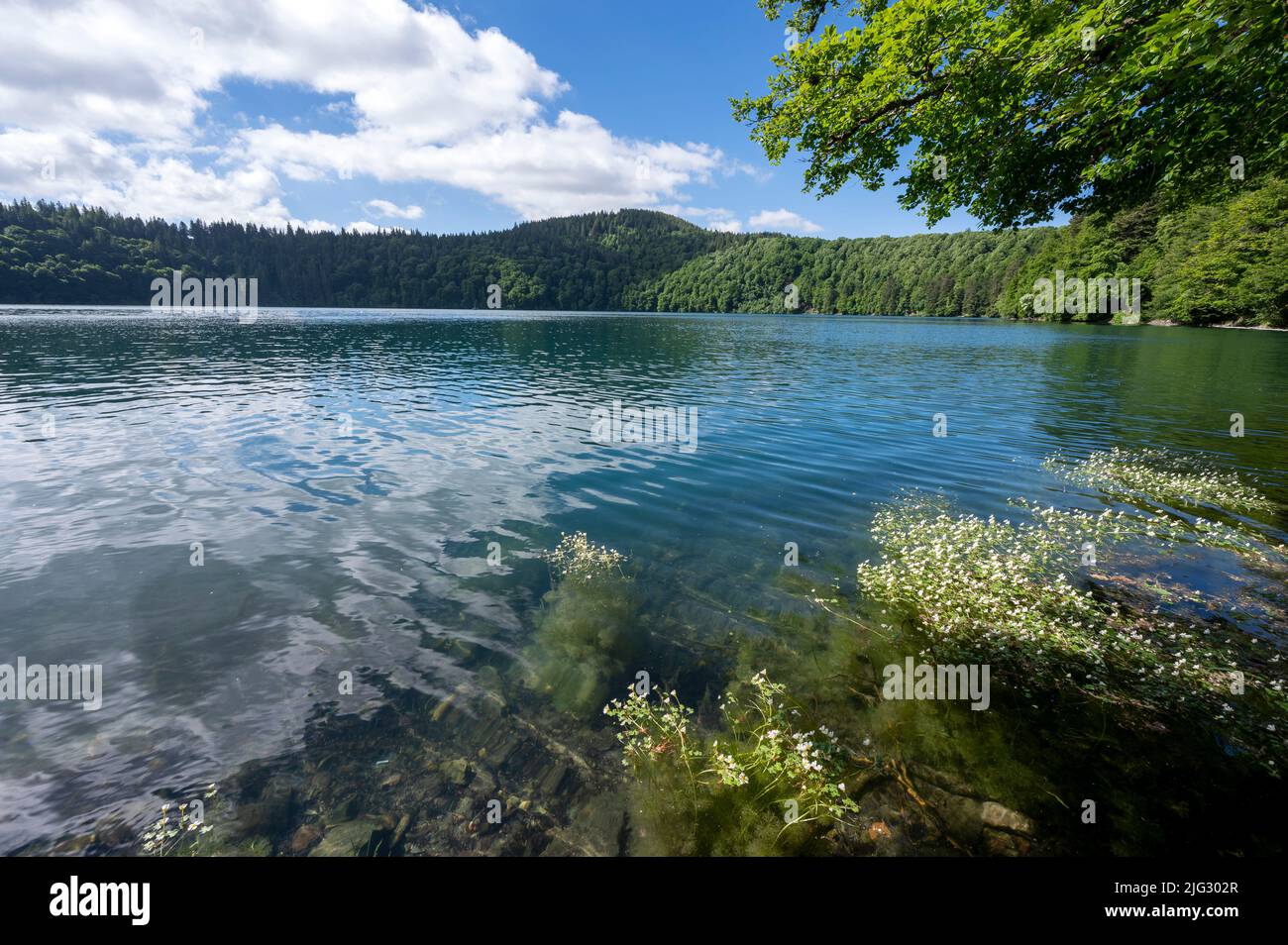 Lago vulcanico di Pavin nelle montagne di Auvergne nel dipartimento di Puy-de-Dome nel Massif-Centrale in Francia in primavera Foto Stock