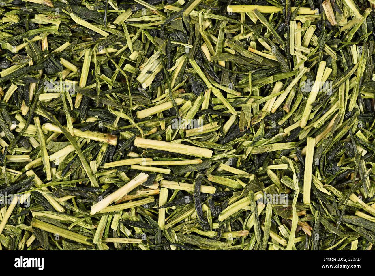 Le erbe giapponesi verdi del tè del ramoscello chiamate 'Kukicha' fatte dalla pianta di Camellia Foto Stock