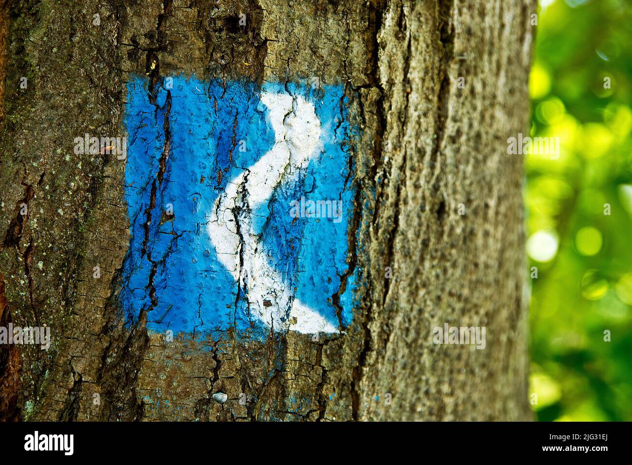 Marcatore blu del Rheinsteig su un albero, Germania, Renania-Palatinato, Braubach Foto Stock