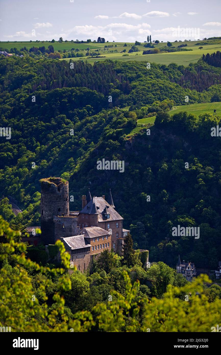 Valle del Reno con il castello di Katz, Patersberg, Patrimonio dell'Umanità dell'UNESCO Valle del Medio Reno superiore, Germania, Renania-Palatinato, Patersberg Foto Stock